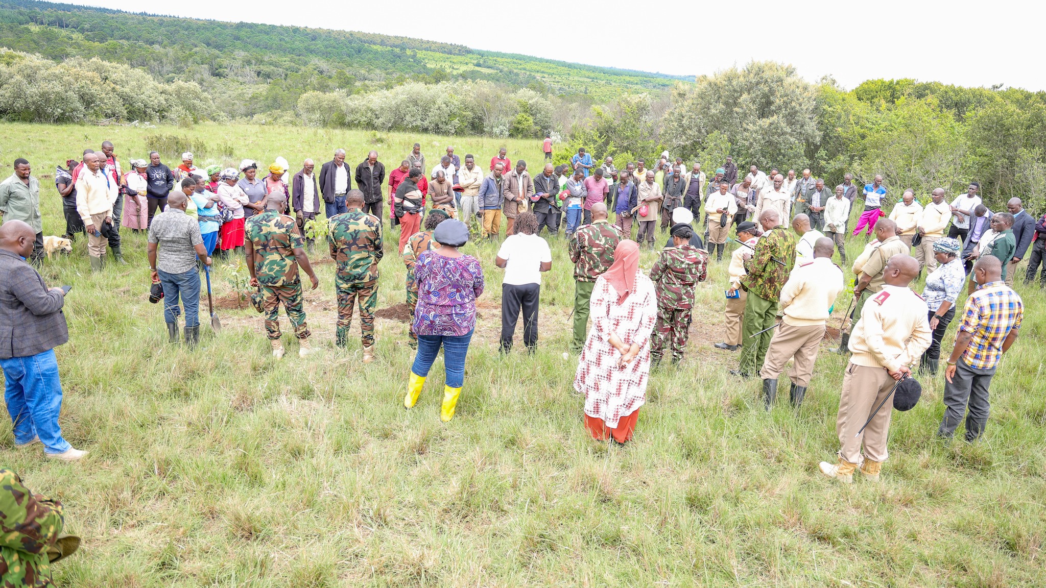 State Department for Lands Plants 4,000 Trees in Gathiuru Forest, Nyeri County