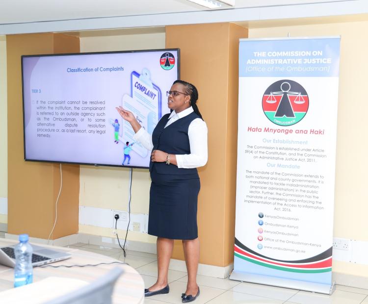 Facilitation by the CAJ team
